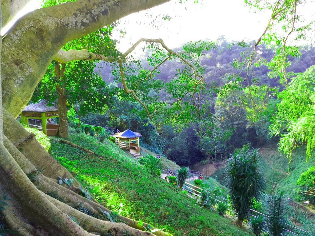 image from hill top, Unakoti rock carvings