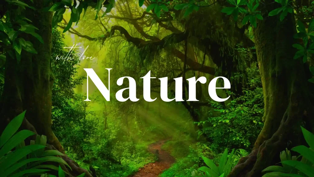 10 Amazing Offbeat Tripura Travel Destinations